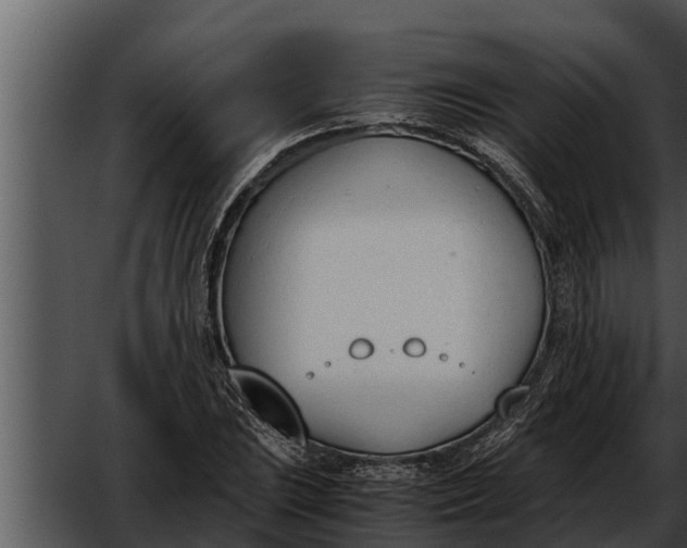 X0000052611023200507160032