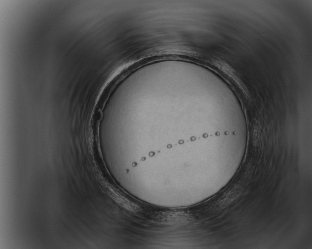 X0000052611024200507160032