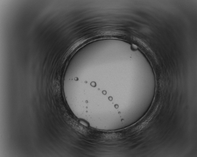 X0000052611025200507160032