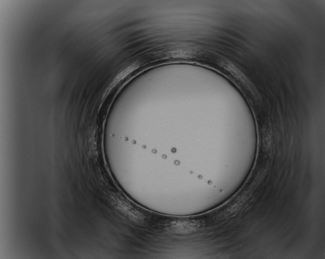 X0000052611026200507160032