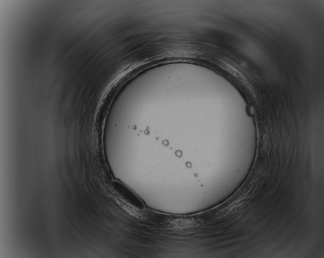 X0000052611027200507160032