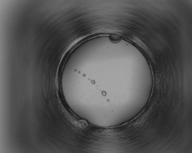 X0000052611028200507160032