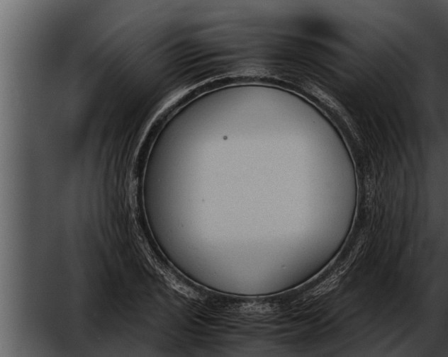 X0000052611029200507160032