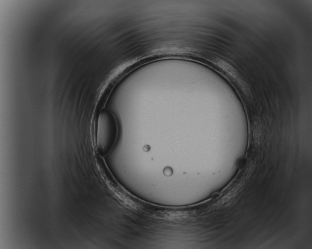 X0000052611030200507160032