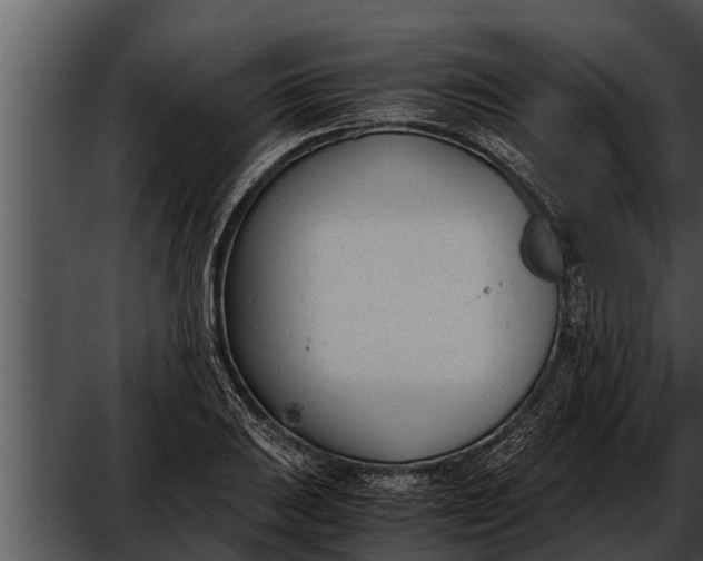 X0000052611031200507160032