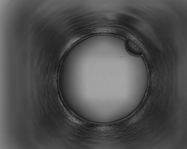 X0000052611033200507160032