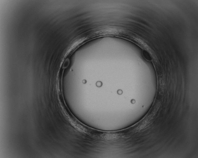 X0000052611034200507160032