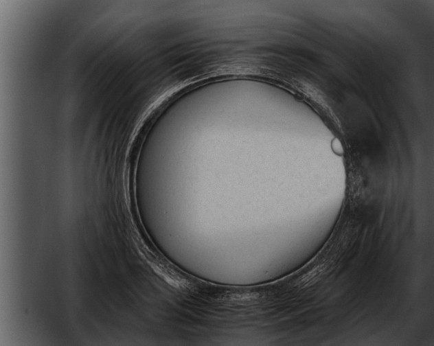 X0000052611035200507160032