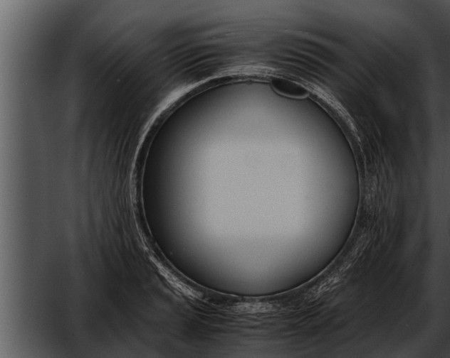 X0000052611037200507160032