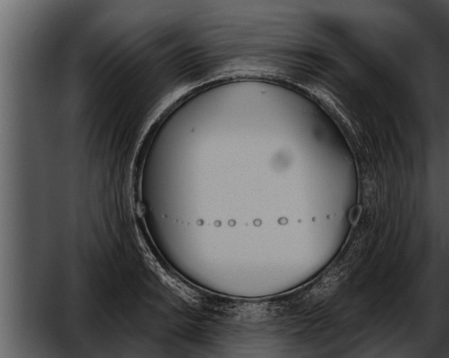 X0000052611038200507160032