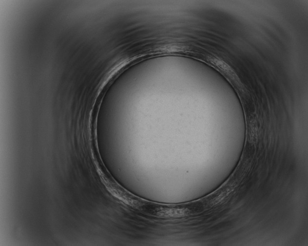 X0000052611039200507160032