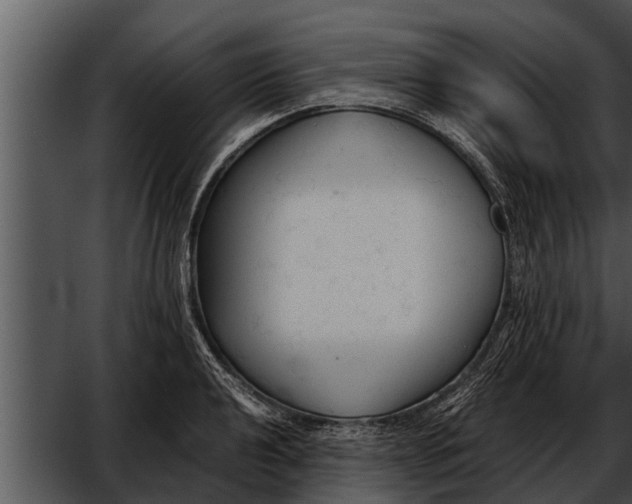 X0000052611040200507160032