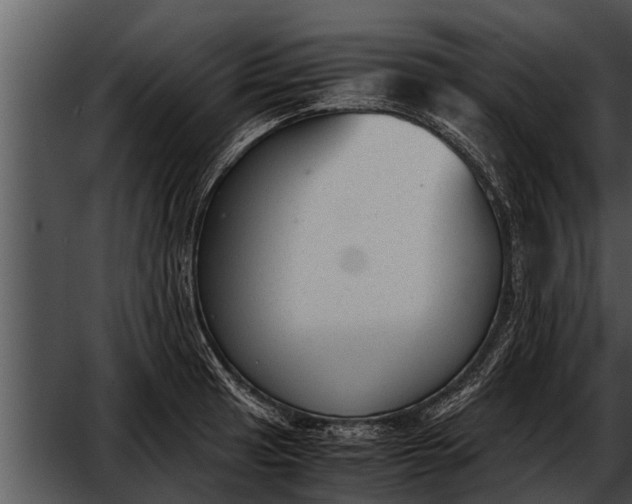 X0000052611041200507160032