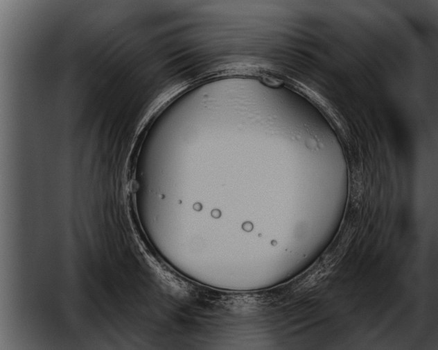 X0000052611042200507160032