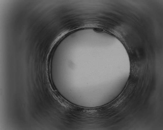 X0000052611043200507160032