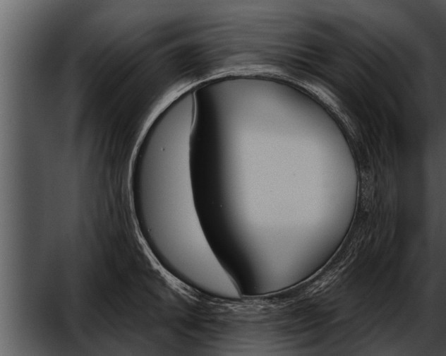 X0000052611046200507160032