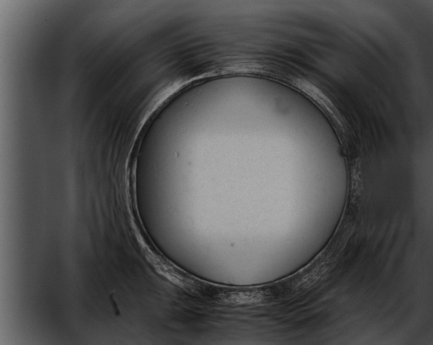 X0000052611047200507160032