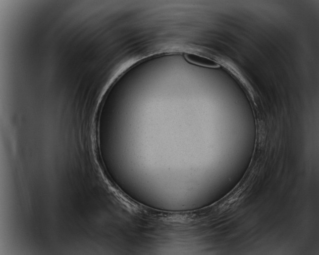 X0000052611048200507160032