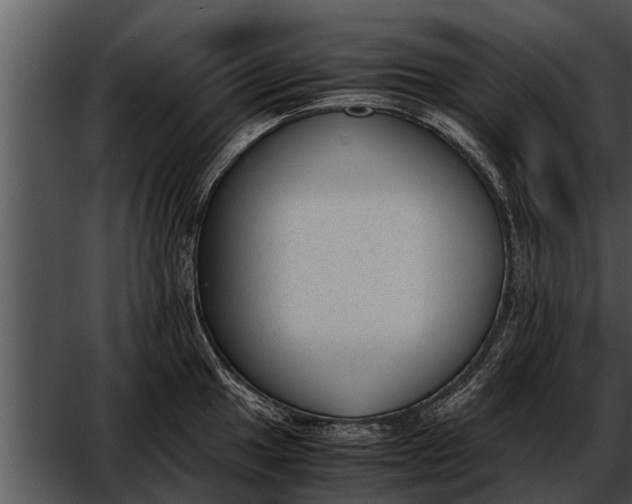 X0000052611049200507160032