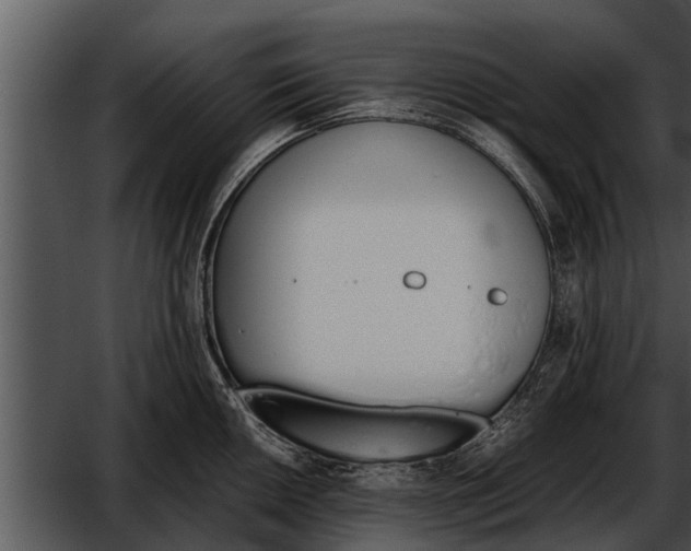 X0000052611050200507160032