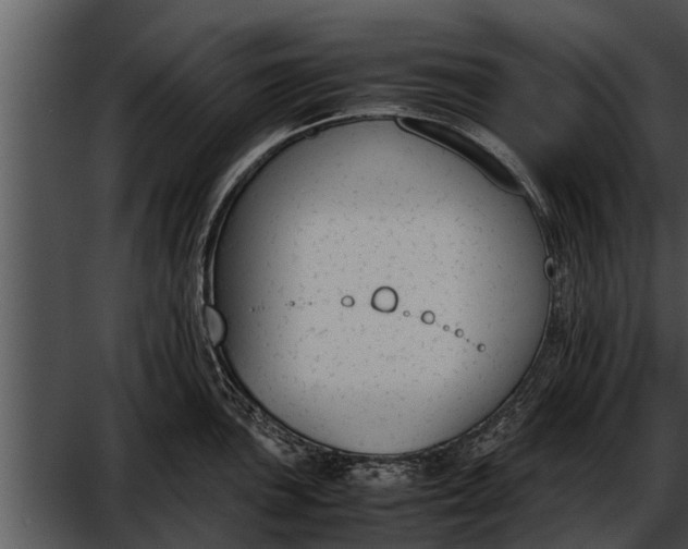 X0000052611051200507160032