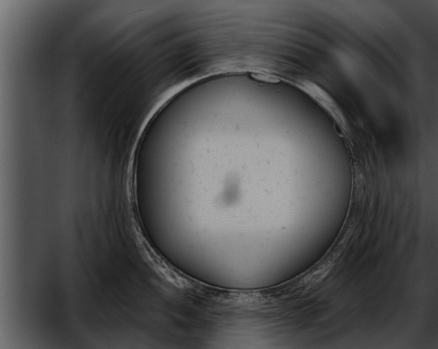 X0000052611052200507160032