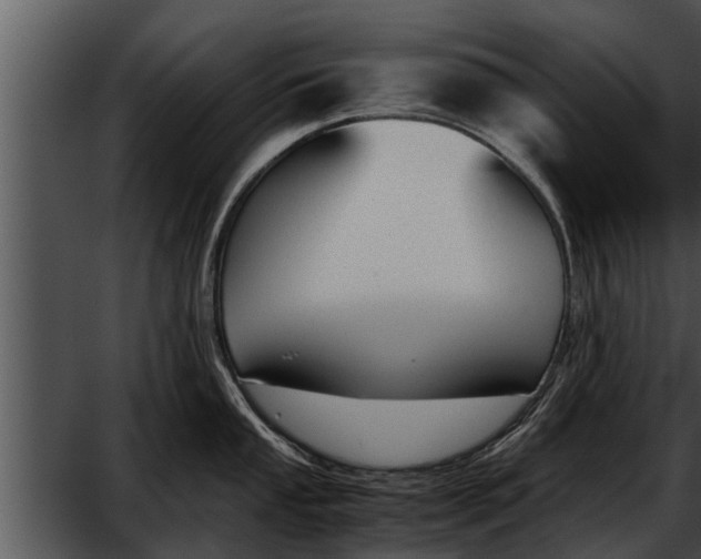 X0000052611053200507160032