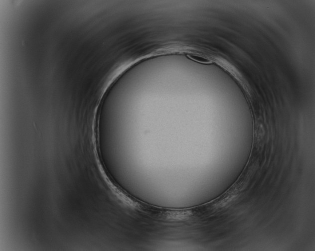 X0000052611055200507160032