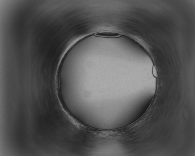 X0000052611056200507160032