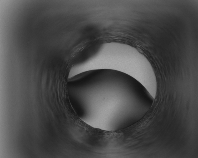 X0000052611059200507160031