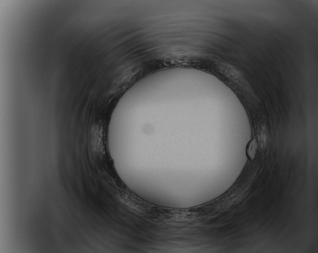 X0000052611060200507160031