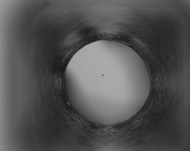 X0000052611061200507160031