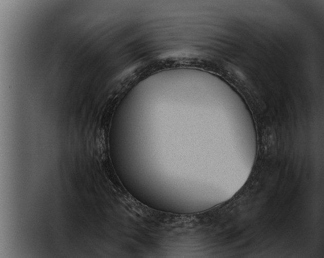 X0000052611062200507160031