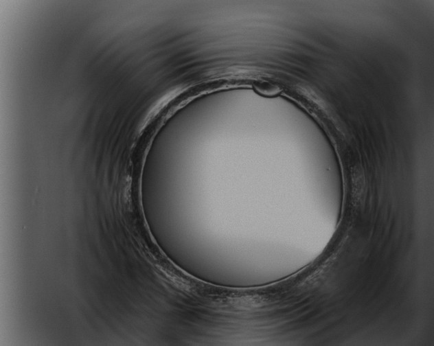 X0000052611066200507160031