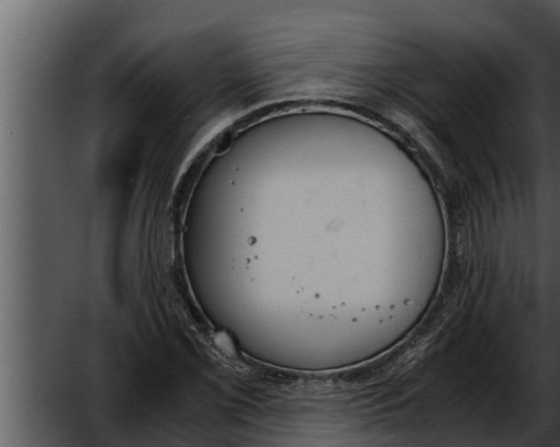 X0000052611069200507160031