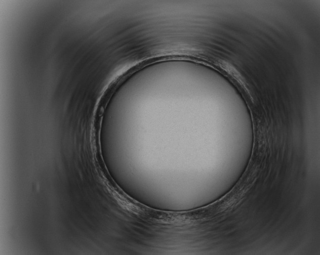 X0000052611072200507160031