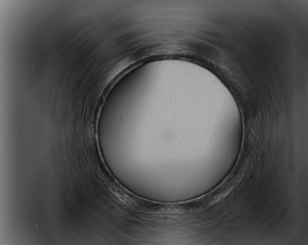 X0000052611073200507160031