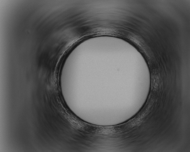 X0000052611074200507160031