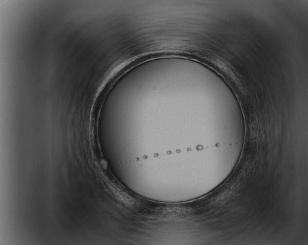 X0000052611077200507160031