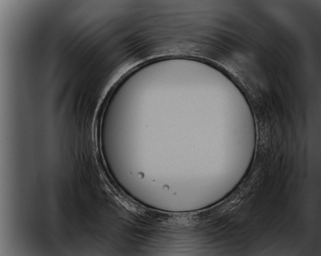 X0000052611078200507160031