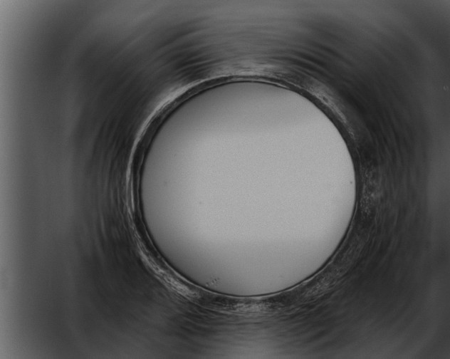 X0000052611080200507160031