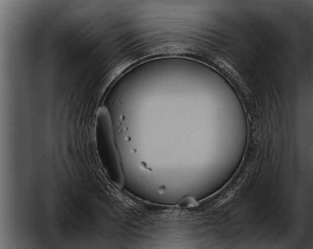 X0000052611081200507160031