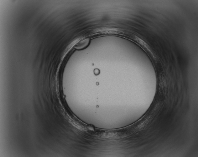 X0000052611082200507160031