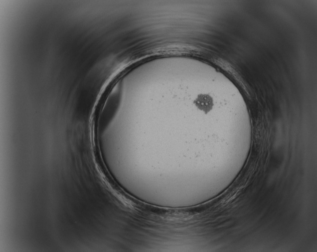 X0000052611083200507160031