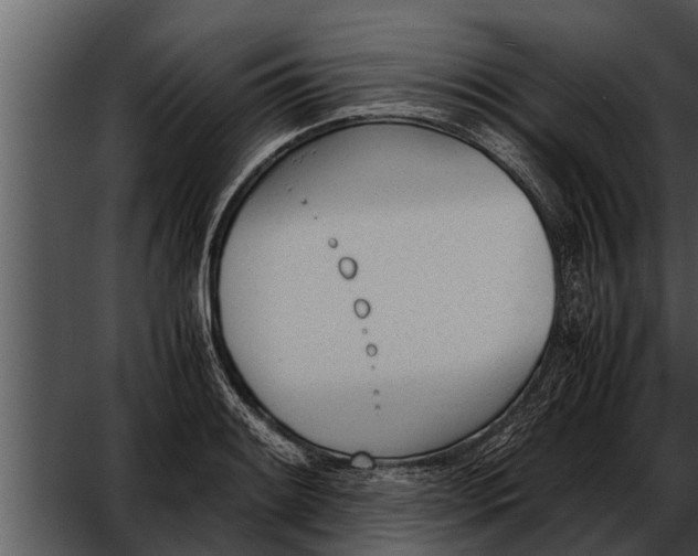 X0000052611084200507160031