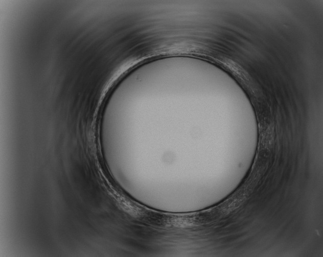 X0000052611086200507160031