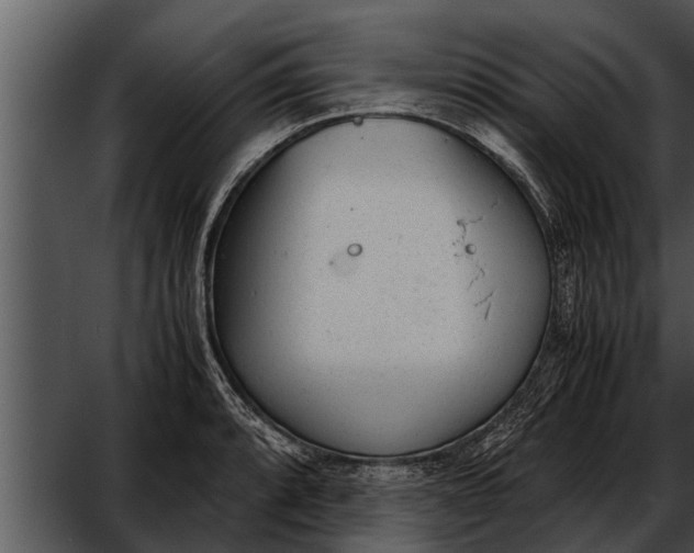 X0000052611088200507160031