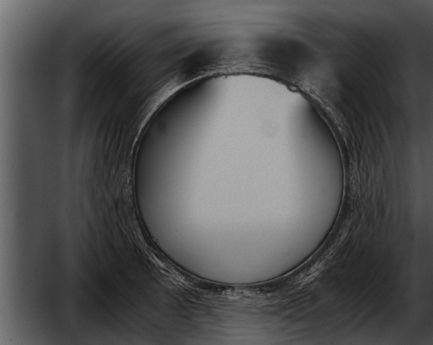 X0000052611089200507160031