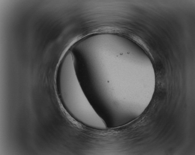 X0000052611091200507160031