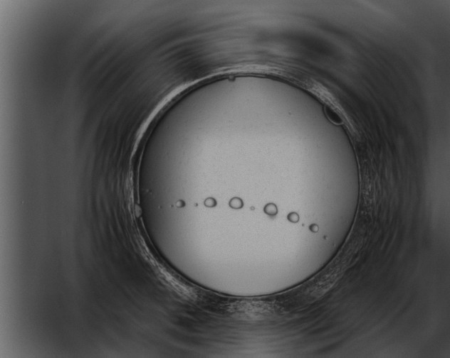 X0000052611092200507160031